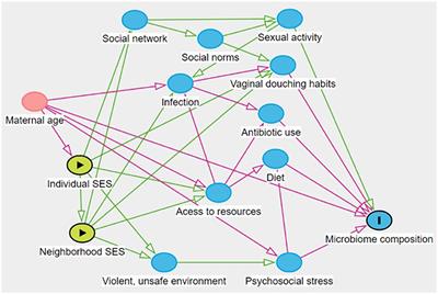 Joint effects of individual socioeconomic status and residential neighborhood context on vaginal microbiome composition